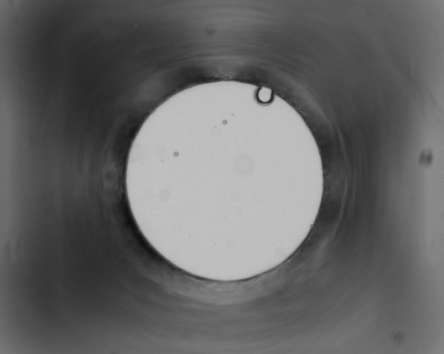 X0000103900031200809191106