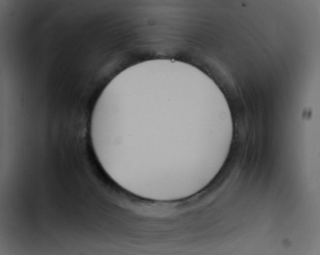 X0000103900032200809191106