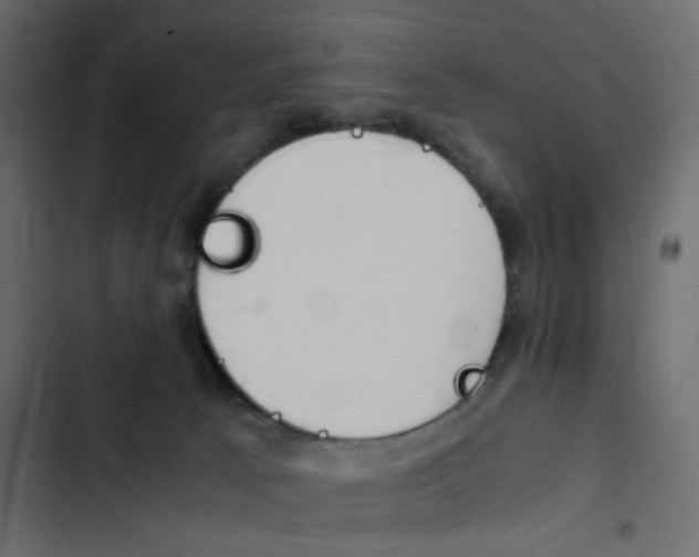 X0000103900033200809191106