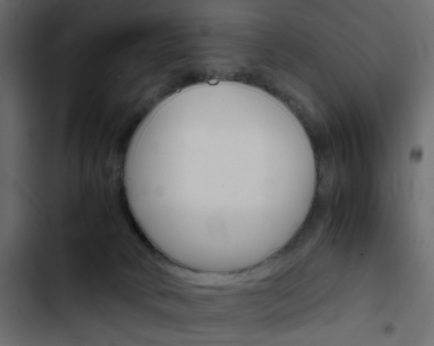 X0000103900034200809191106
