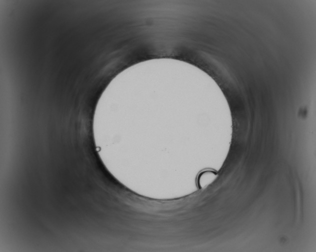 X0000103900035200809191106