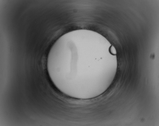 X0000103900036200809191106
