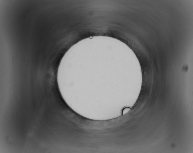 X0000103900037200809191106