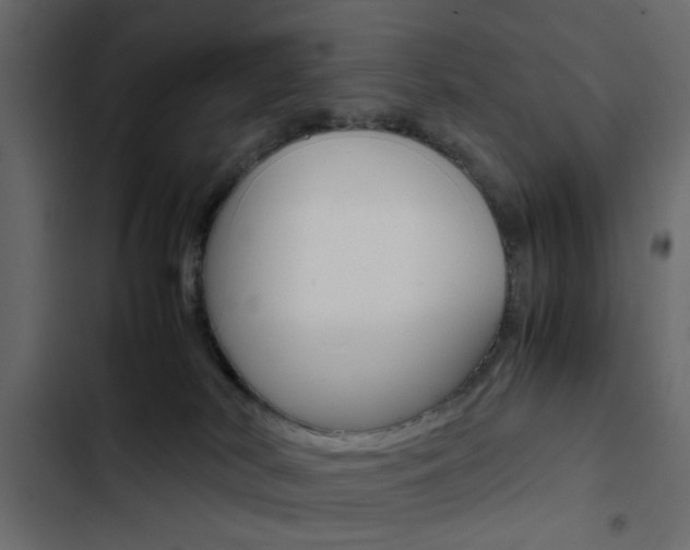 X0000103900038200809191106