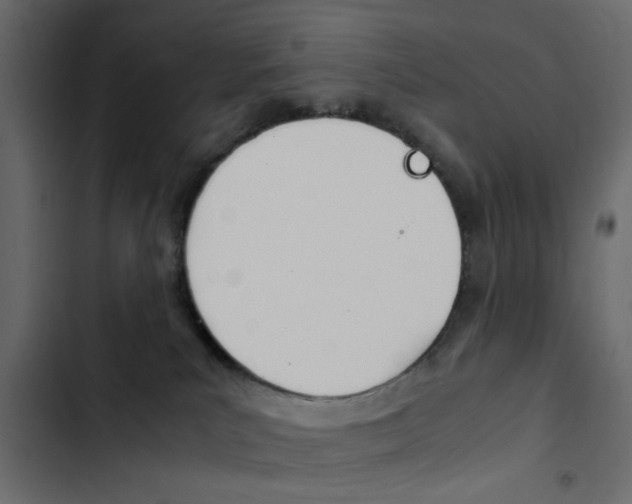 X0000103900039200809191106