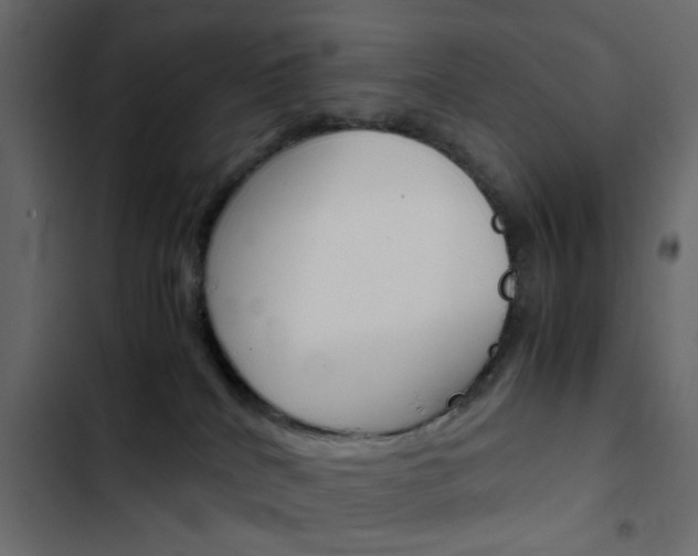 X0000103900040200809191106