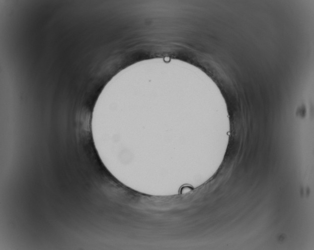 X0000103900041200809191106