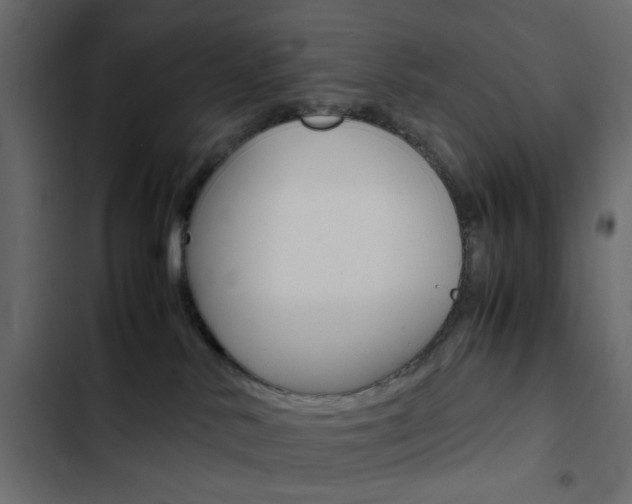 X0000103900042200809191106