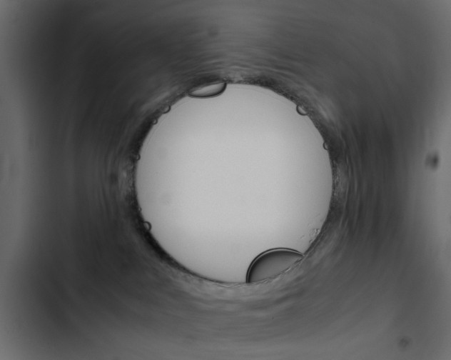 X0000103900043200809191106