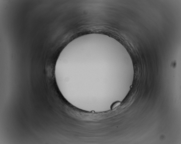 X0000103900044200809191106