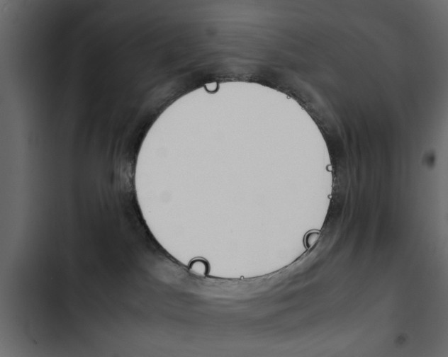 X0000103900045200809191106