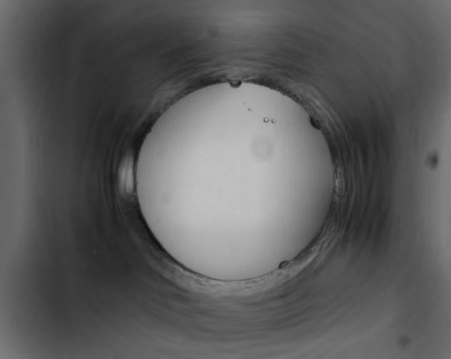 X0000103900046200809191106