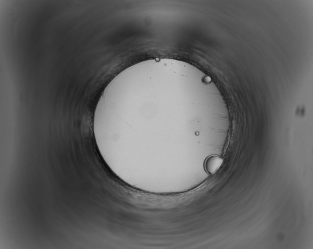 X0000103900048200809191106