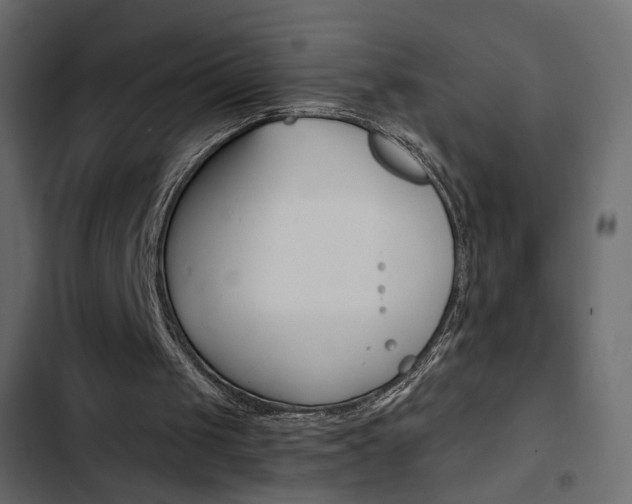 X0000103900049200809191105