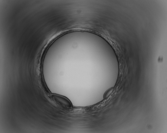 X0000103900050200809191105