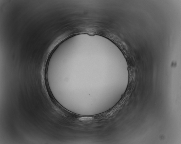 X0000103900051200809191105