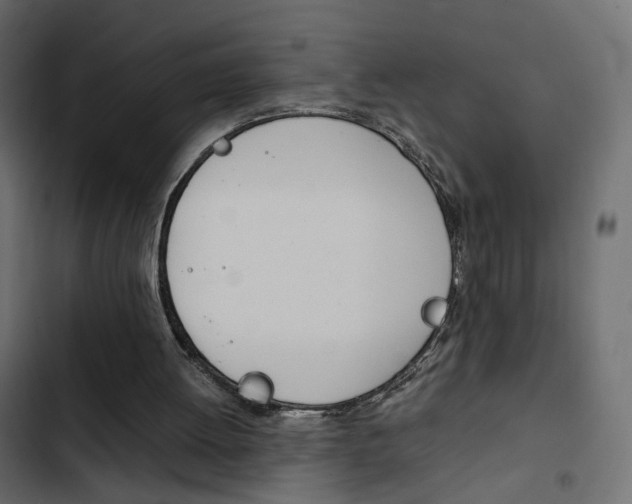 X0000103900052200809191105
