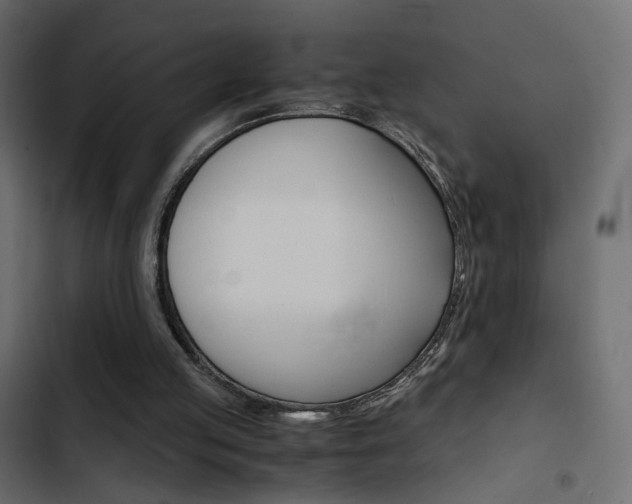 X0000103900053200809191105