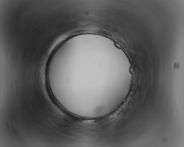 X0000103900054200809191105