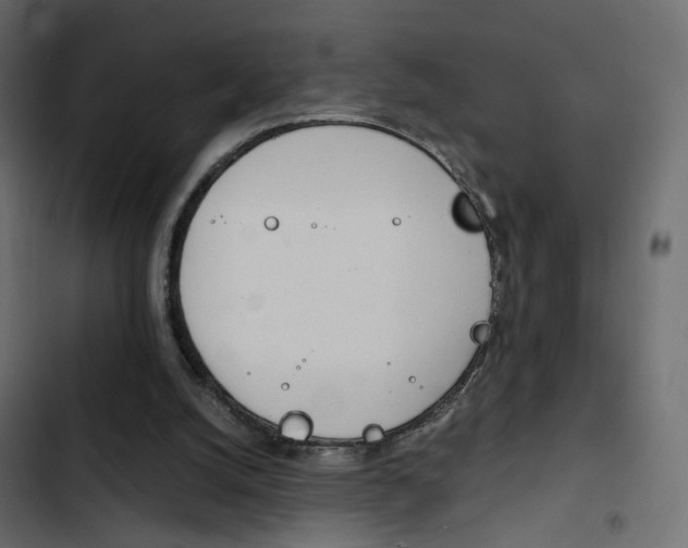 X0000103900056200809191105