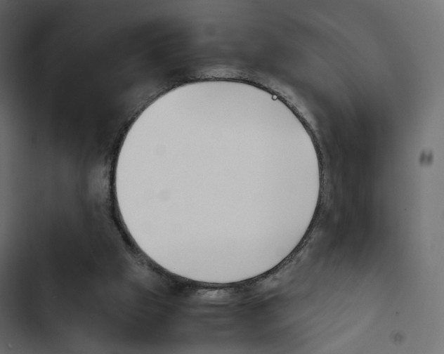 X0000103900057200809191105