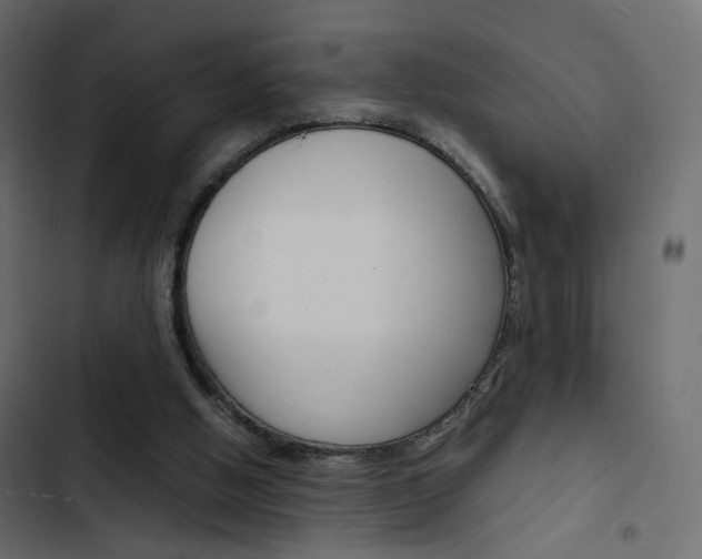 X0000103900058200809191105