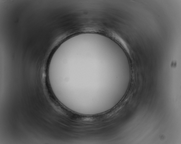 X0000103900059200809191105