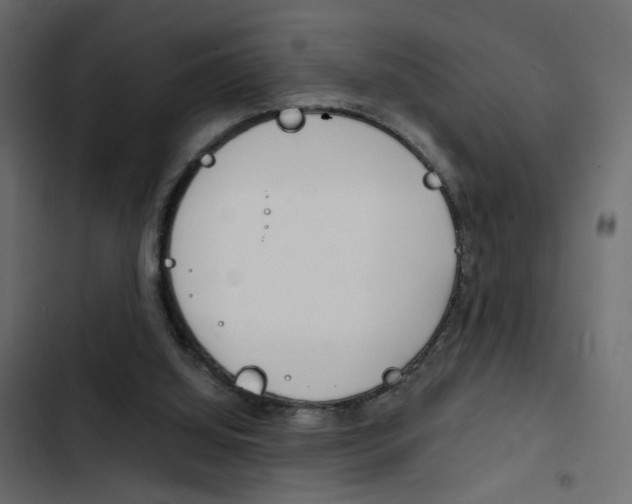 X0000103900060200809191105
