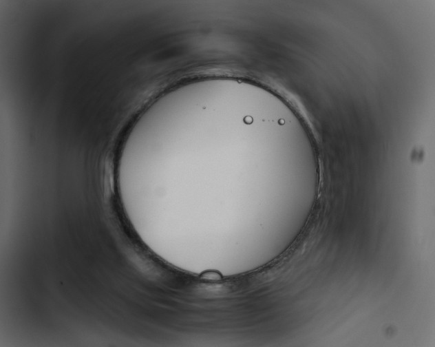 X0000103900061200809191105