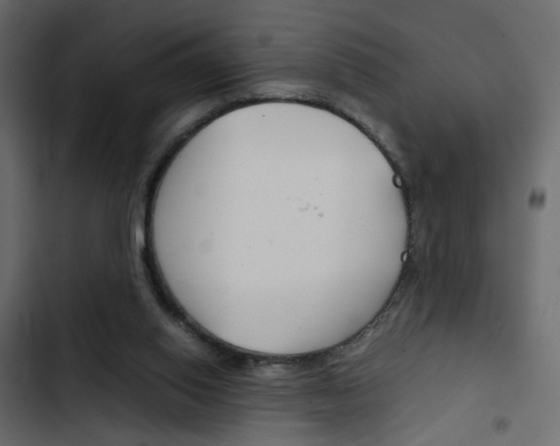 X0000103900062200809191105