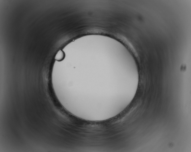 X0000103900063200809191105