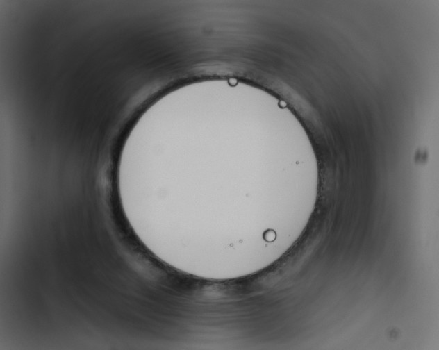 X0000103900064200809191105