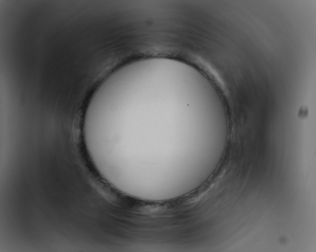 X0000103900065200809191105