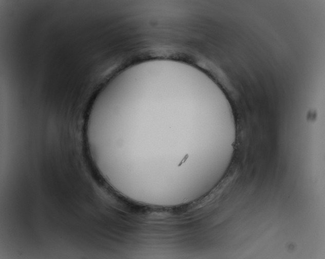 X0000103900066200809191105