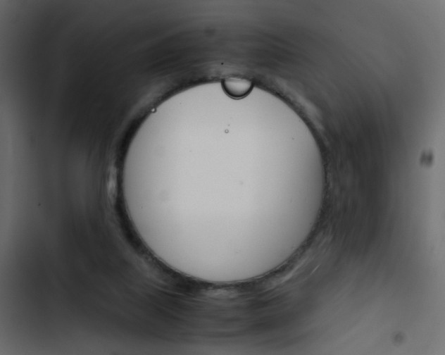 X0000103900067200809191105