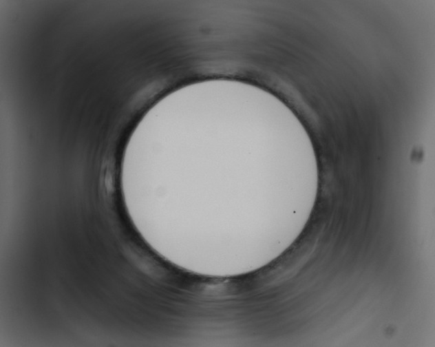 X0000103900068200809191105