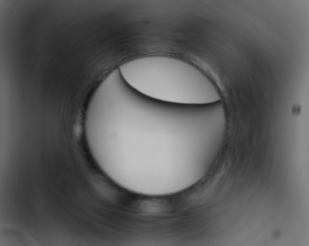 X0000103900069200809191105