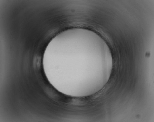 X0000103900070200809191105