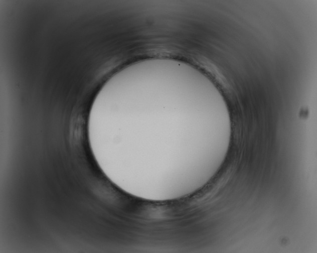 X0000103900071200809191105