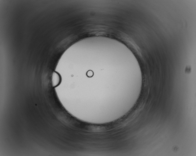 X0000103900073200809191105