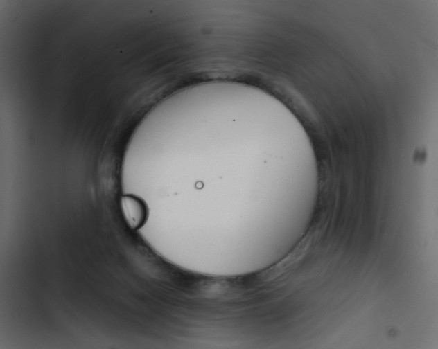 X0000103900074200809191105