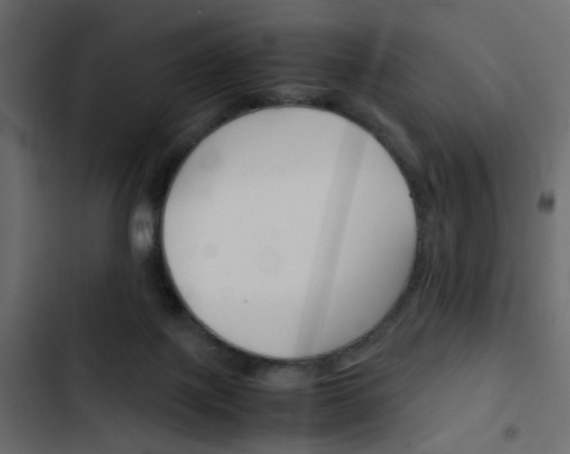 X0000103900075200809191105