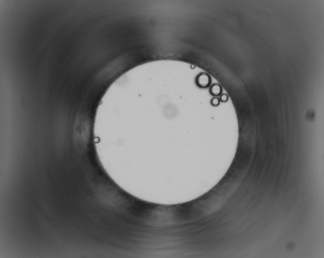 X0000103900076200809191105