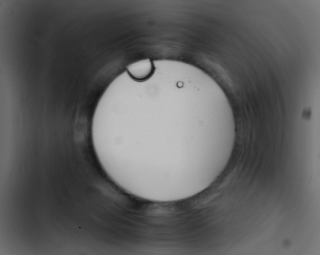X0000103900077200809191105