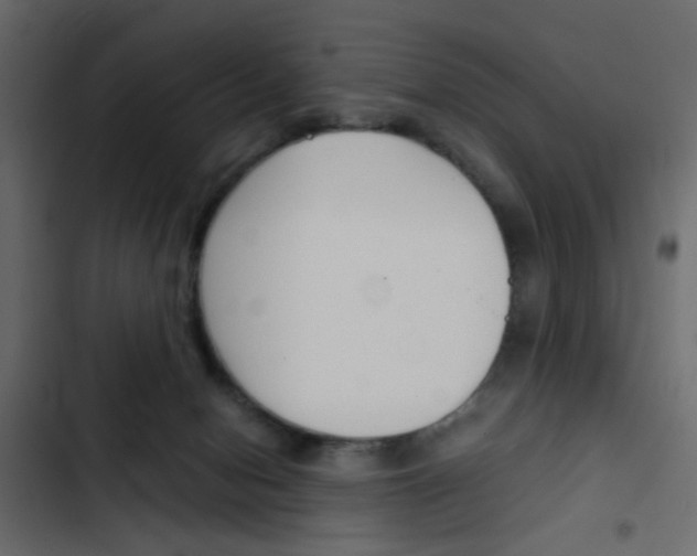 X0000103900078200809191105