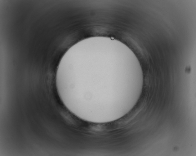X0000103900079200809191105