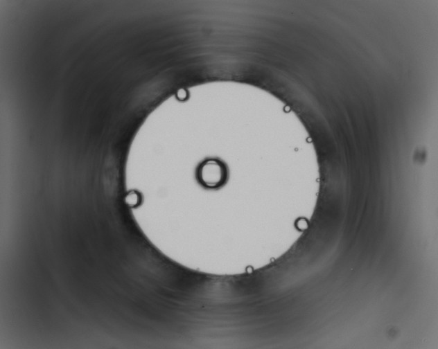 X0000103900080200809191105