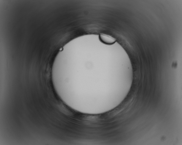 X0000103900081200809191105