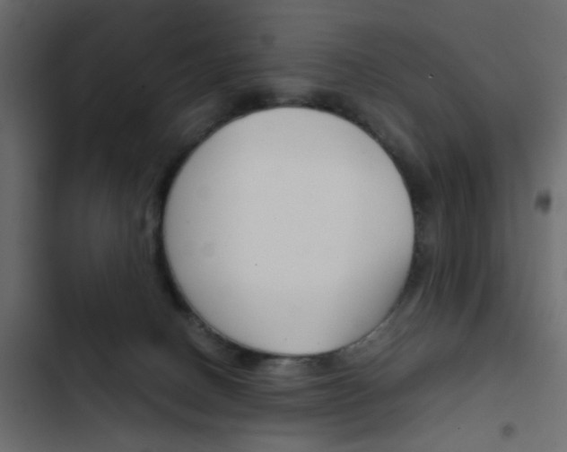 X0000103900082200809191105
