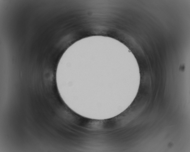 X0000103900084200809191105